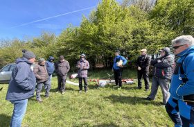 Pálenica + Záhorie #2